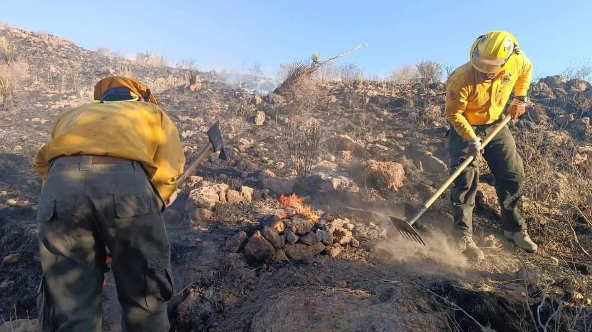 DEBE DE HABER MÁS ATENCIÓN EN LA REFORESTACIÓN DE ZONAS QUEMADAS (1)